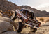 Traxxas TRX-4 1/10 High Trail Edition RC Crawler w/'79 Ford F-150 Ranger XLT Body (Brown) & TQi 2.4GHz Radio