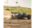 ARRMA 1/8 Typhon MEGA 665 4X4 RTR Brushed Buggy (ARA4206V4)