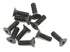 Mugen M4X12 F/H CAP SCREW(10) b0750 - RACERC