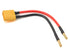 ProtonRC XT90 Male To 4mm 'Banana' Plug Charging Adaptor
